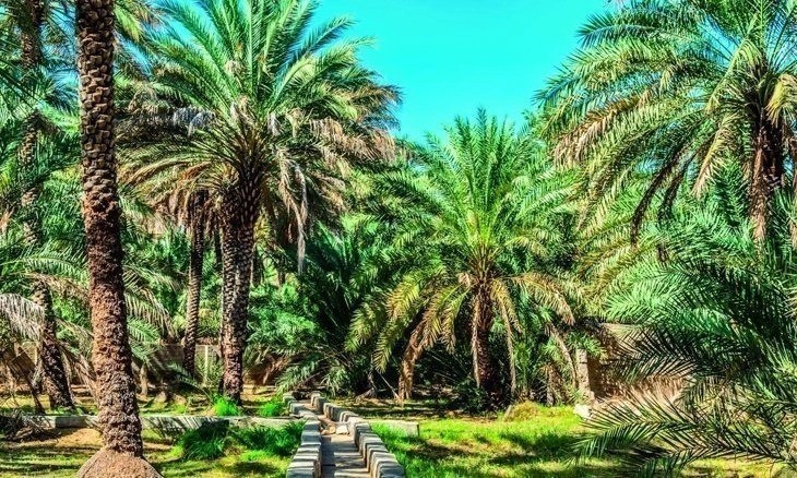Al Ain UAE